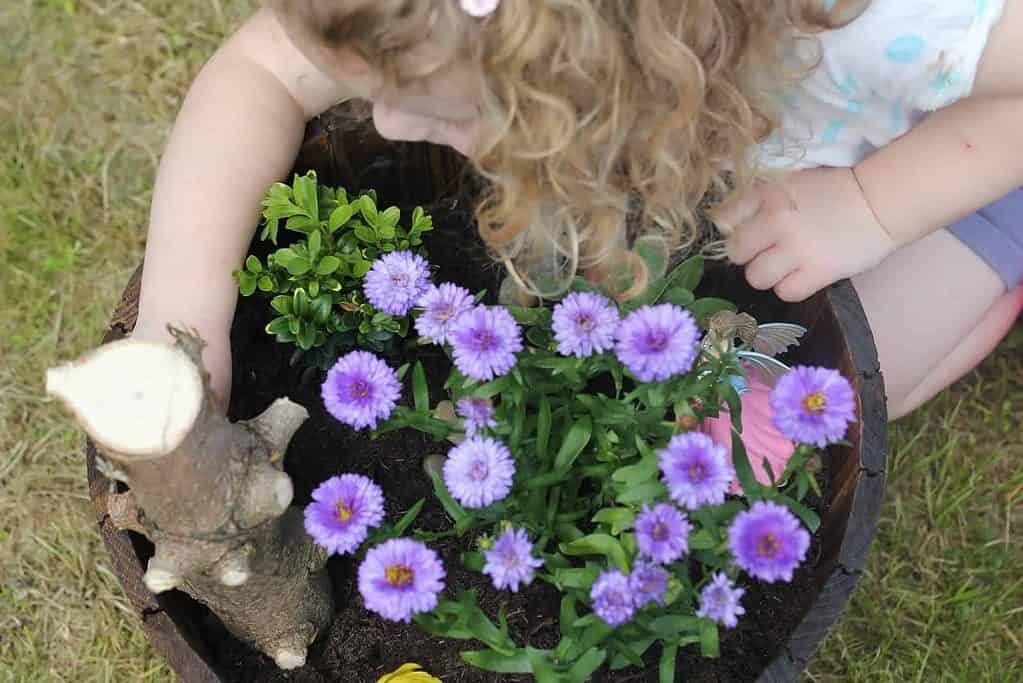 Outdoor Activities For Toddlers