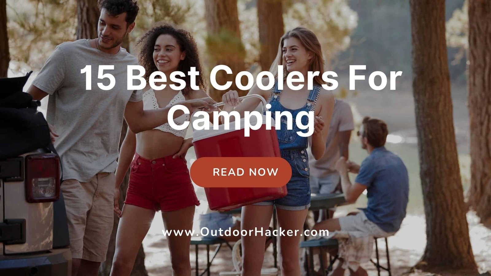 Best Coolers For Camping