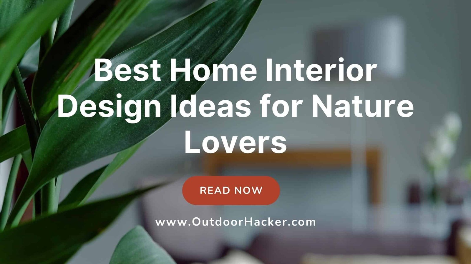 Best Home Interior Design Ideas for Nature Lovers