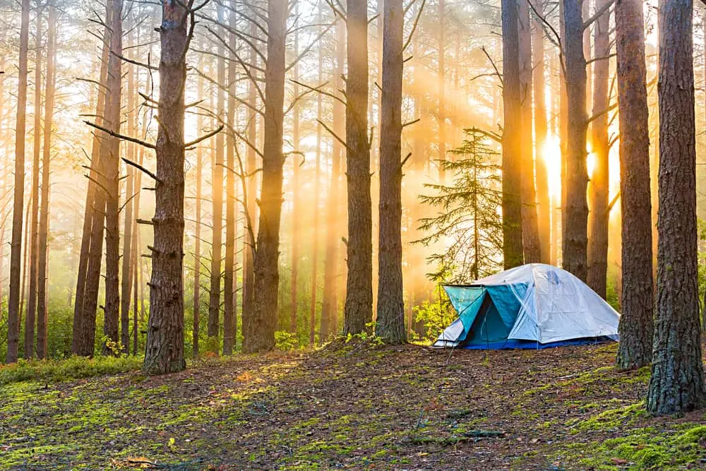 How To Choose A Campsite At A Campground