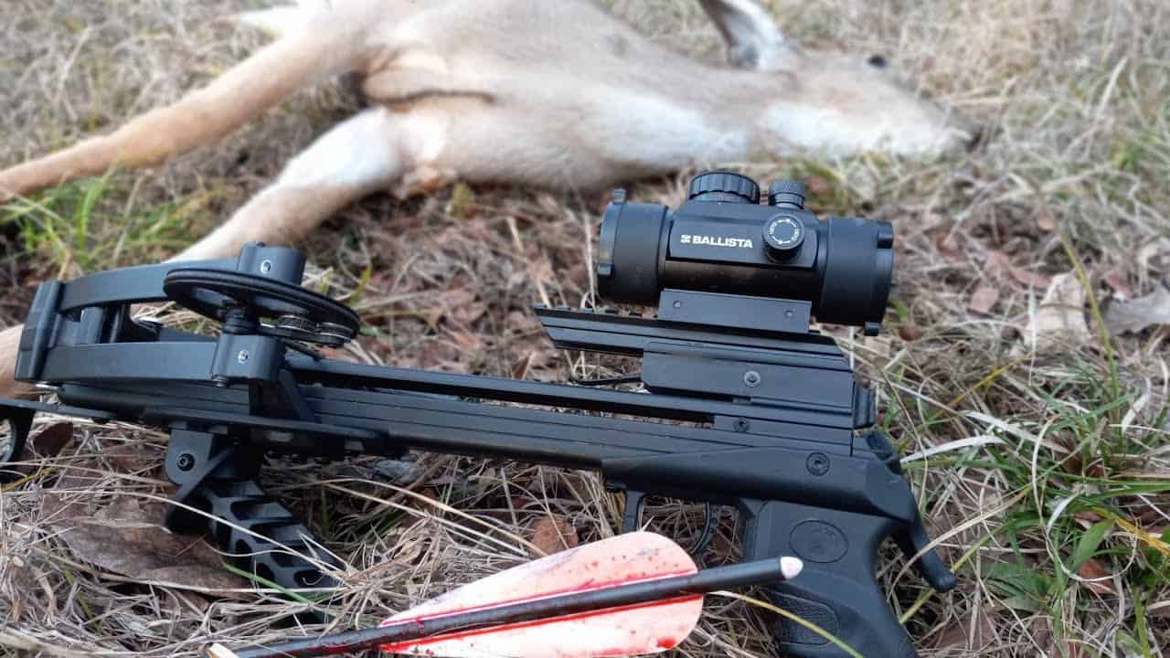 Best Crossbow Pistol For Hunting And SelfDefense In 2024