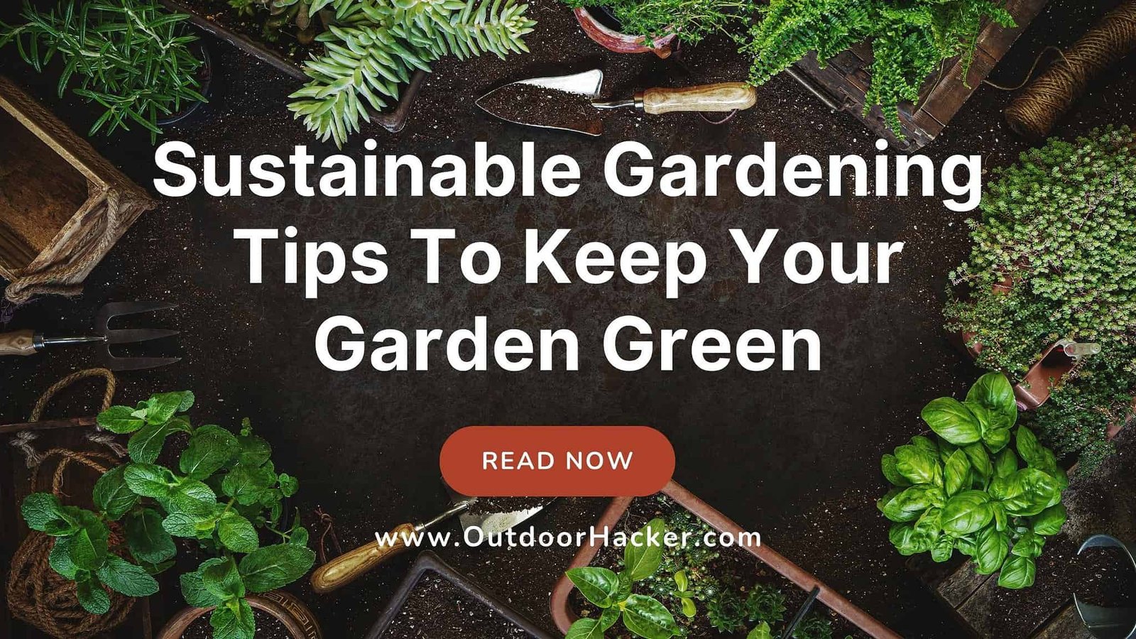 Sustainable Gardening Tips To Keep Your Garden Green