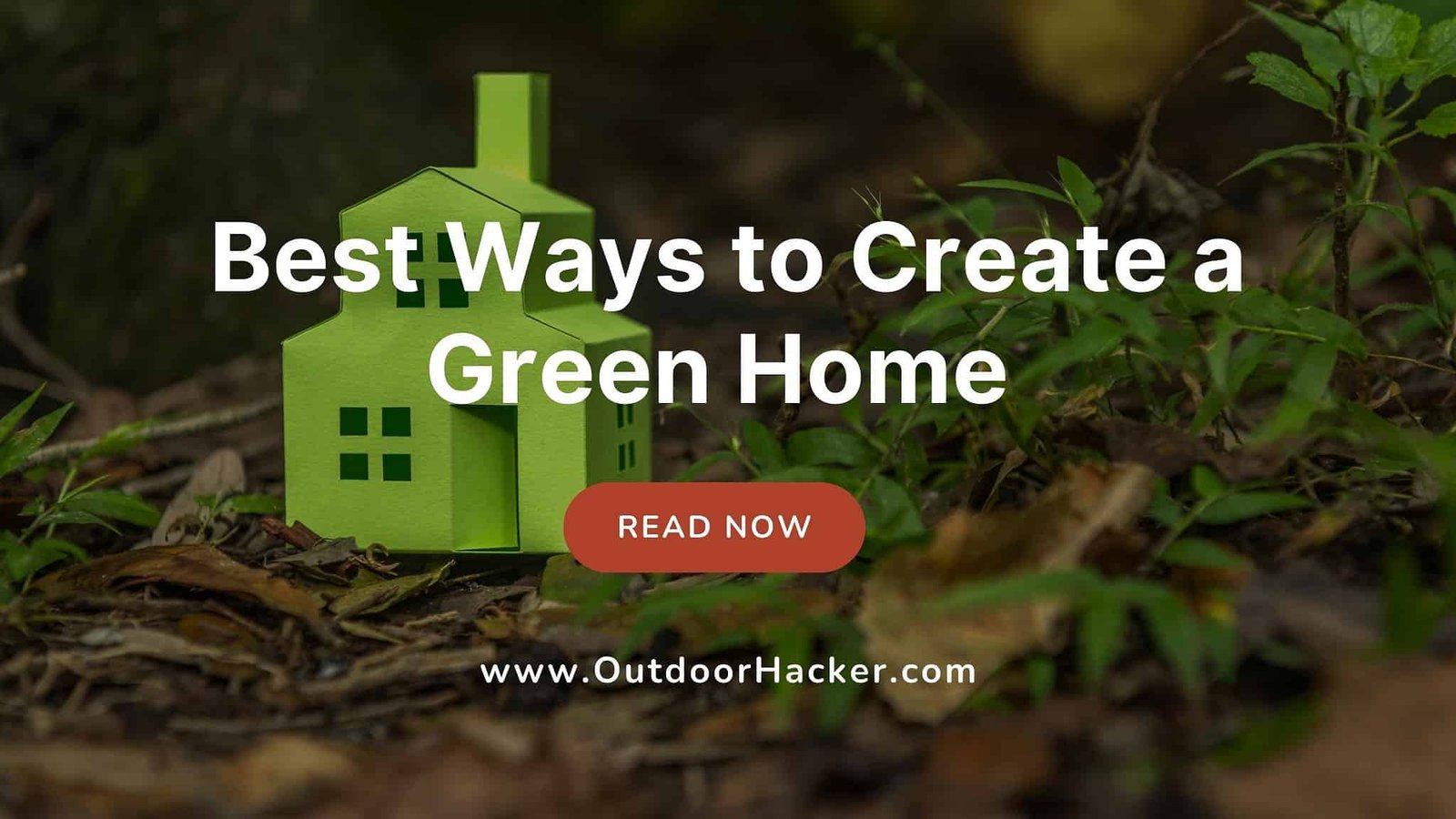 Best Ways to Create a Green Home Guide