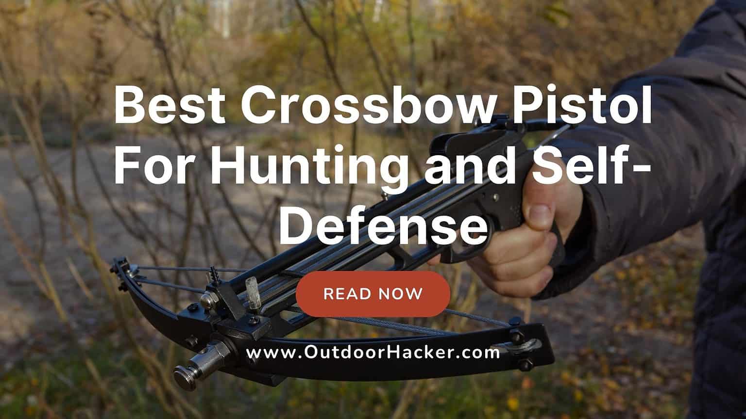 Best Crossbow Pistol For Hunting And SelfDefense In 2024