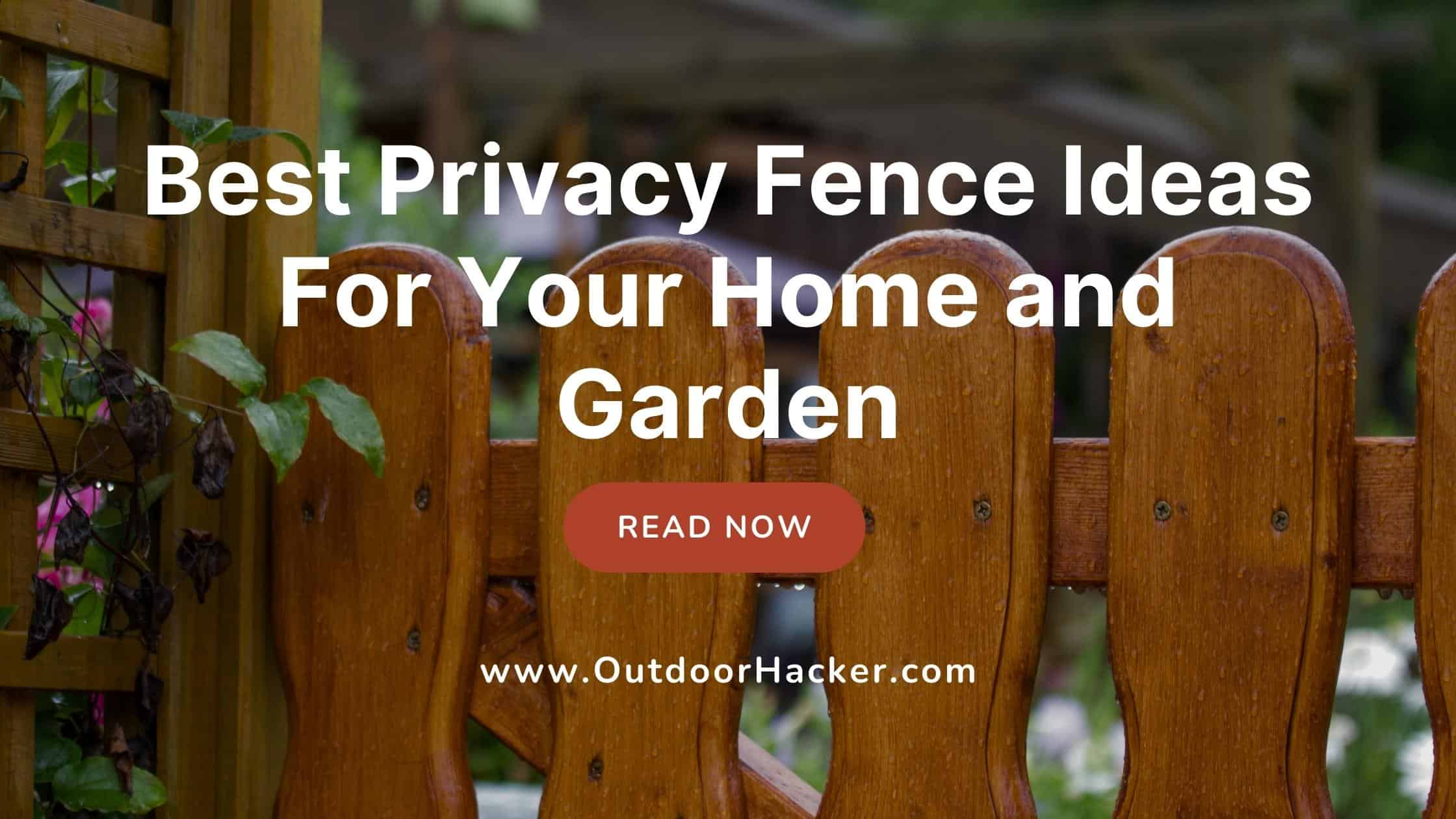 Best Privacy Fence Ideas For Your Home