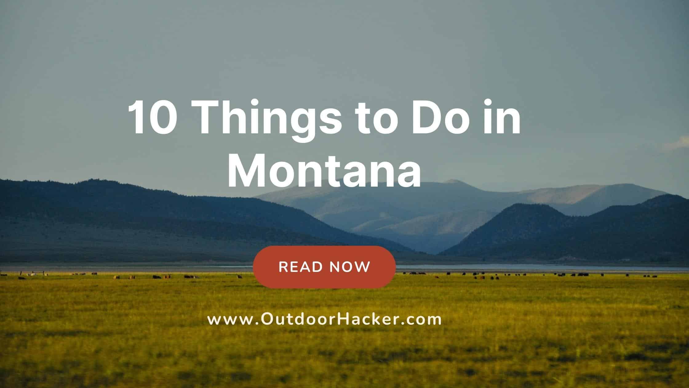 Things to Do in Montana