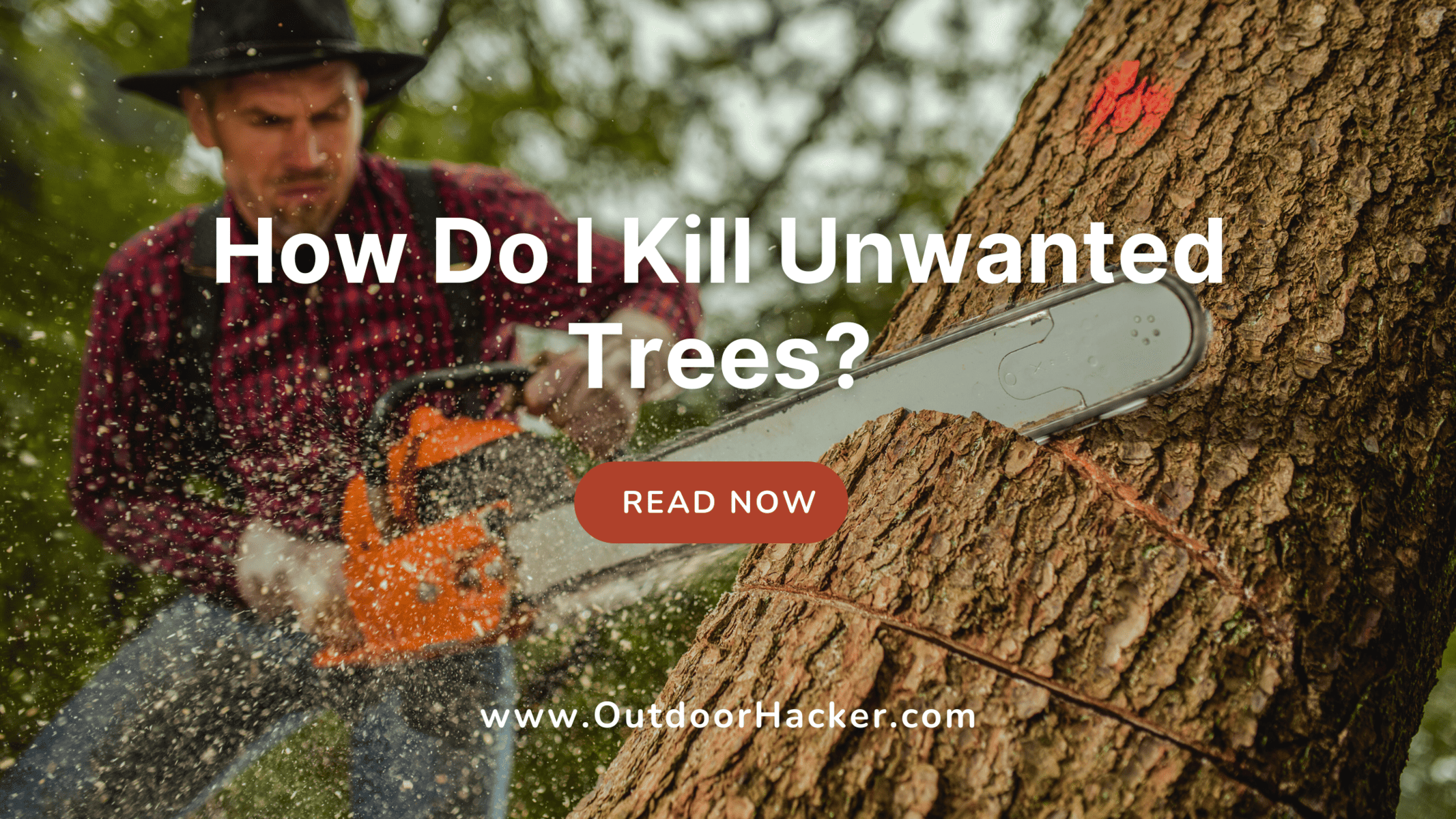 How Do I Kill Unwanted Trees