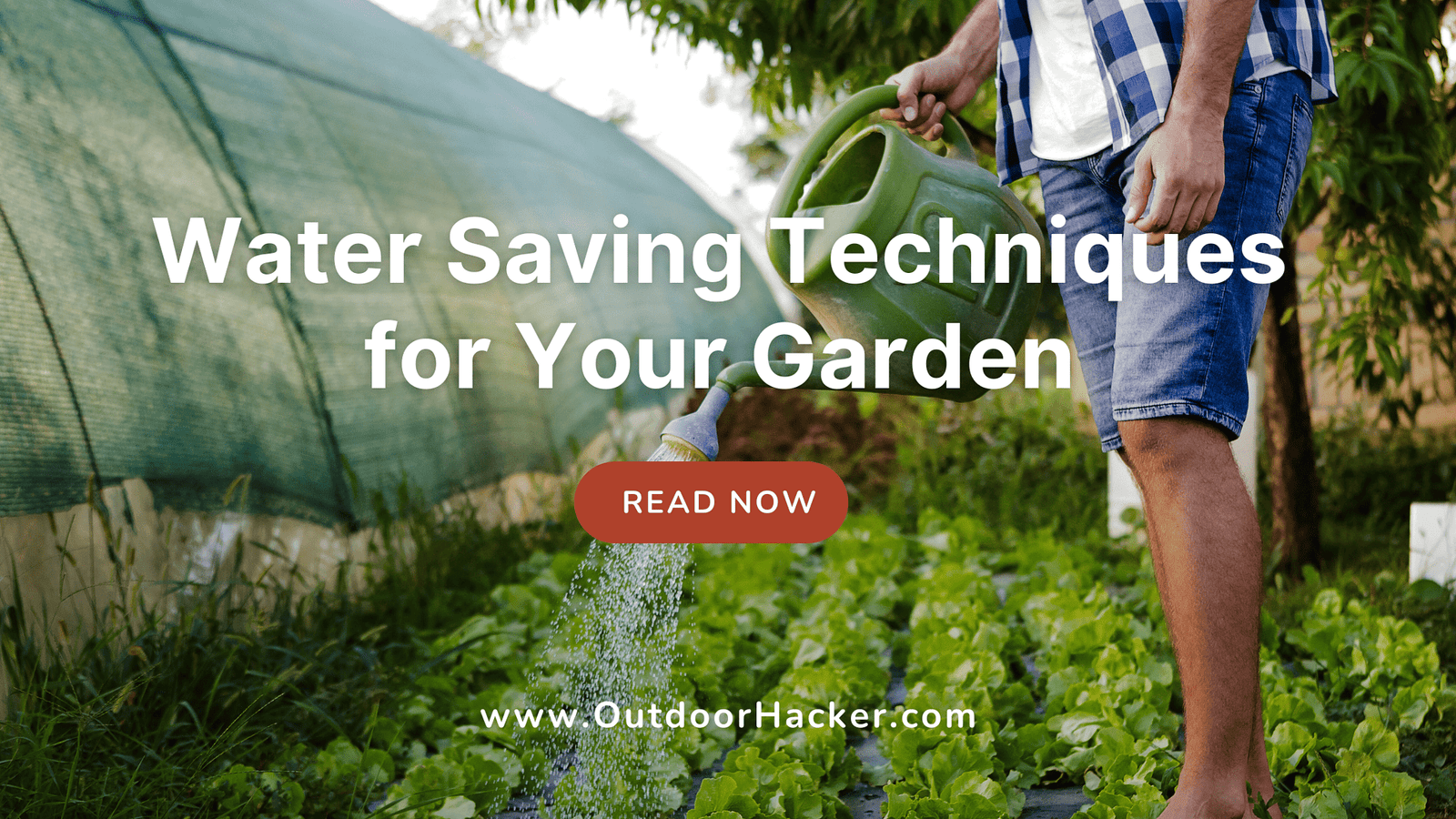 Efficient Water Saving Techniques for Your Garden