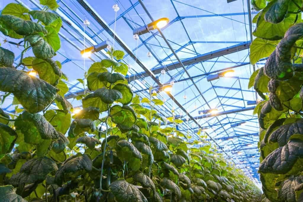 Control Light Intensity in a Greenhouse