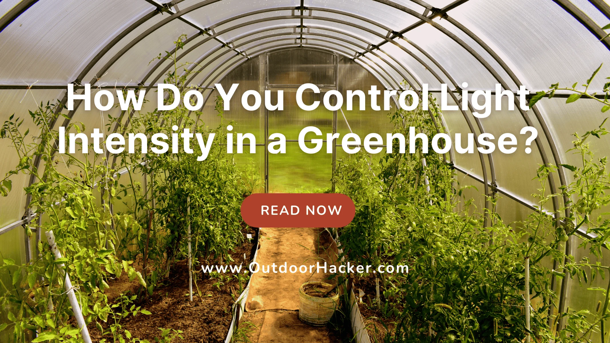 Control Light Intensity in a Greenhouse