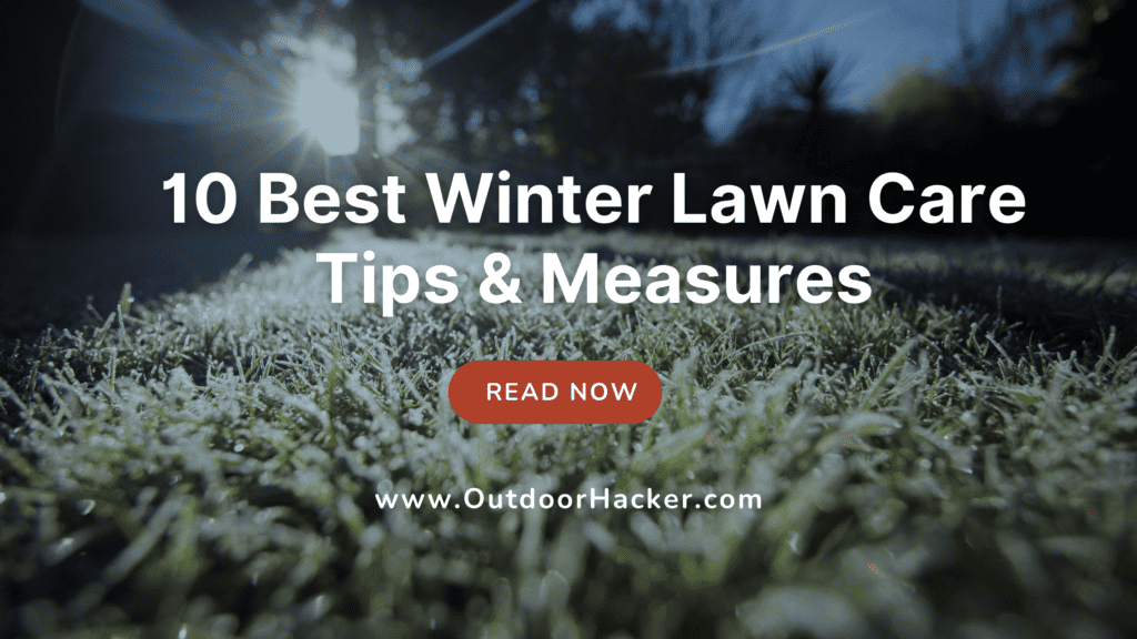 best winter lawn care tips