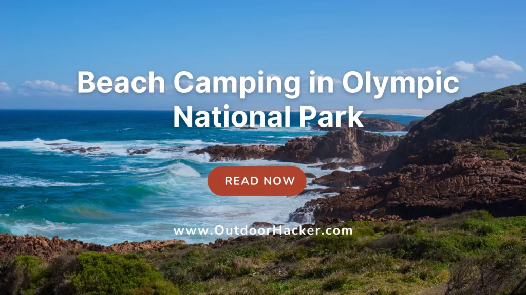 Beach Camping in Olympic National Park