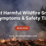 Wildfire Smoke Symptoms