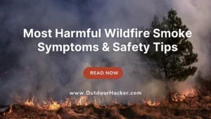 Wildfire Smoke Symptoms