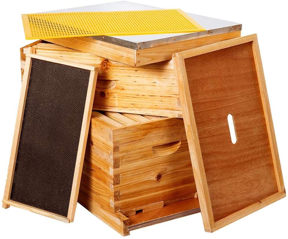 Beekeeping starter kit