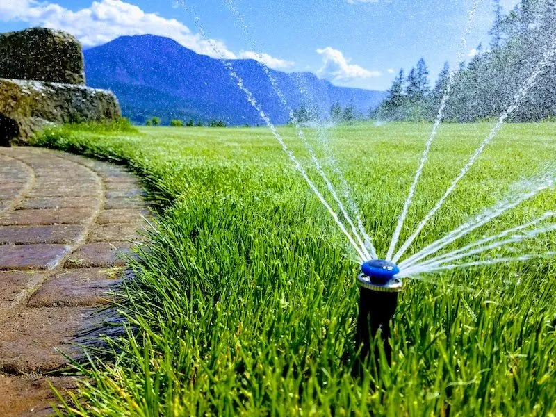 Irrigation system landscape