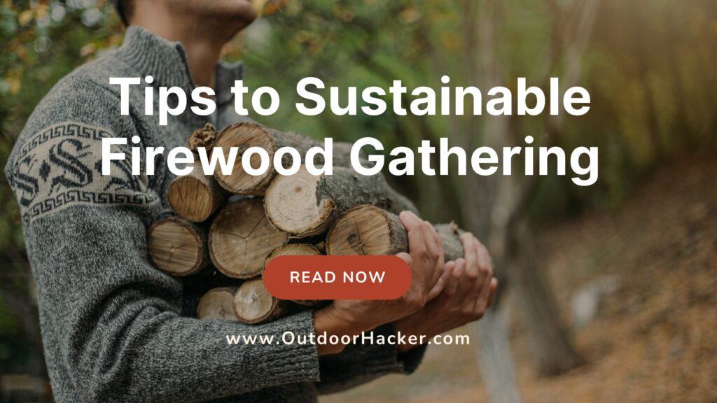 Smart Ways to Sustainable Firewood Gathering