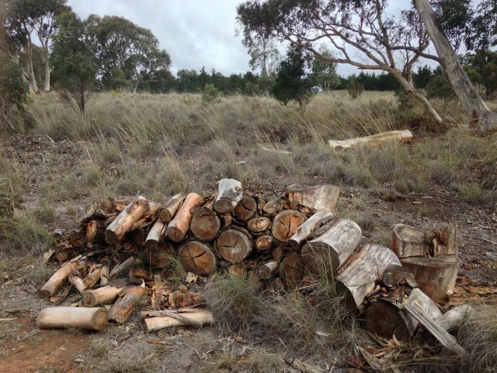 Sustainable Firewood Gathering