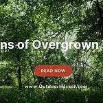 Signs of Overgrown Trees